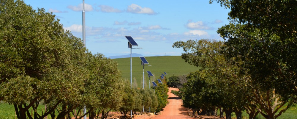 solar-powered lights